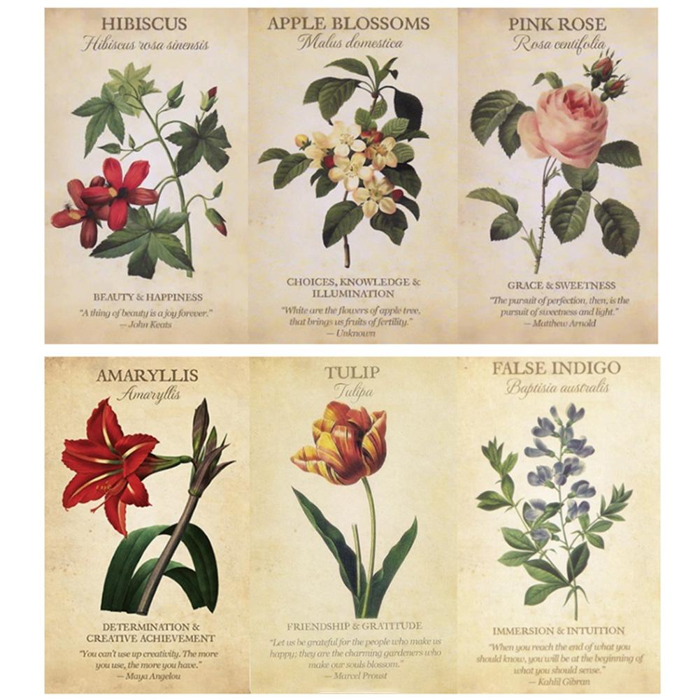 Botanical Inspiration Oracle c - огляд і ціна Board Game Inspiration